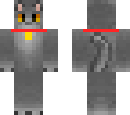 edit of gray cat