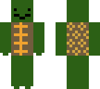 turtle