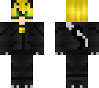 cat noir