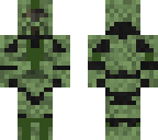 republic 313th infantry