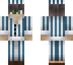bedwars skin