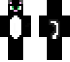 cute black cat