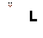 loser