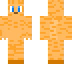 ginger cat