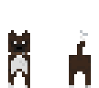 dog zion