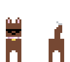 fluffy dog sunnies
