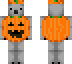 koala pumpkin