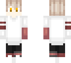 scout v