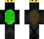 black turtle