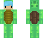 thatsmykale turtle 2