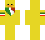 mexico duck