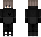 the_pro2