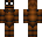 picamaster11