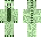 lizard