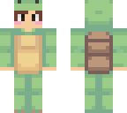 turtle guy