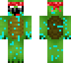 turtle thing