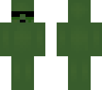 mlg turtle overlay