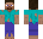 hobo steve