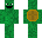 turtle