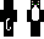 cute cat