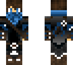 blue ninja