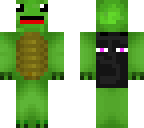 turtle