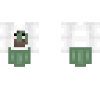 cute cactus base