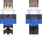 twin skin