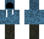v1
