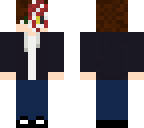 me irl vizard