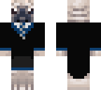 ravenclaw pug