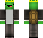 turtle life