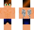 elytra skin