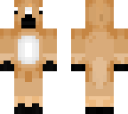 horse skin 4 expert of animals