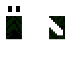 hollow knight
