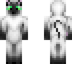 cat skin