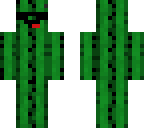 swag cactus