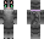 warrior cat