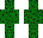 cactus skin