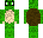 turtle guy