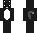dark colored cat