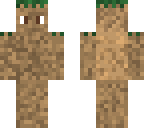 dirt