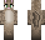 lucy the cat