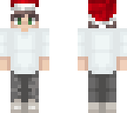 harmfulness christmas