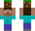dirt steve