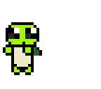 25 turtlez