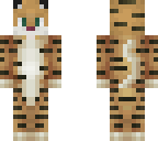 tiger boy