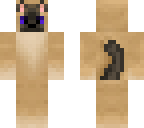 german sheperd