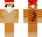 cute cat texture