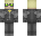 cat noir